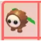 Coconut Friend