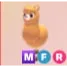 MFR - Alpaca