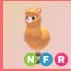 NFR - Alpaca