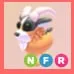NFR - Billy Goat 