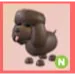 NEON - Irish Water Spaniel