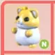 NEON - Golden Hamster