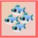 Many Mackerel