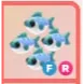 FR - Many Mackerel
