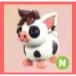 NEON - Mini Pig
