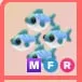 MFR - Many Mackerel
