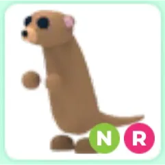 Neon Ride Meerkat