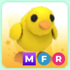 MFR Chick Pet