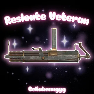 🟢 Resolute Veteran