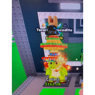 Tacorillo crocodillo 5 traits