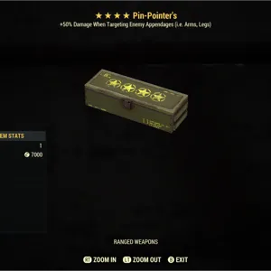 Pin Pointer’s Mod x1