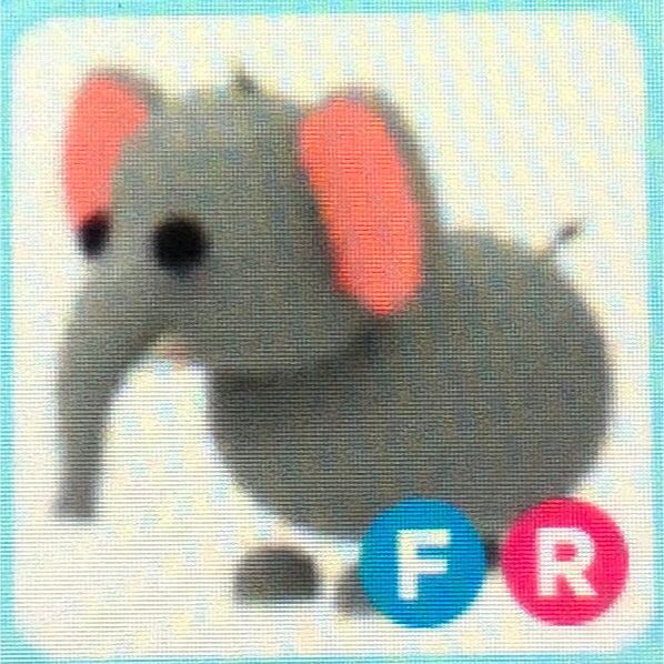 Pet FR ELEPHANT ADOPT ME Game Items Gameflip