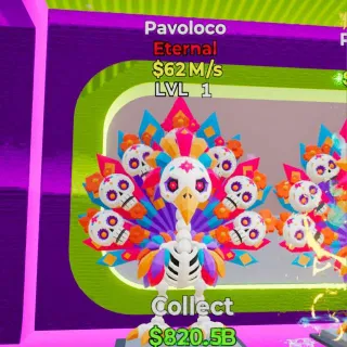 Pavoloco
