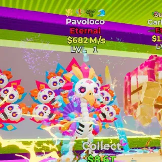 Pavoloco 4 Trait