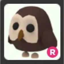 R Owl