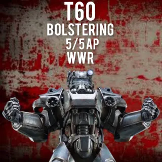 BOLSTERING WWR T60 