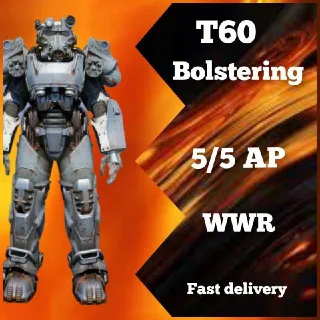 T60 Bolstering WWR