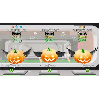 X10 Lucky Rot Lovely