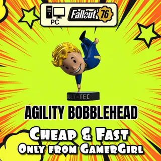 Agility Bobblehead X 500 - PC