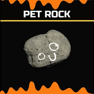 pet rock