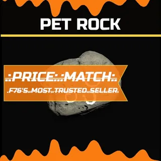 pet rock
