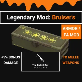 Bruiser Mod