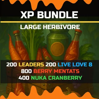 xp bundle