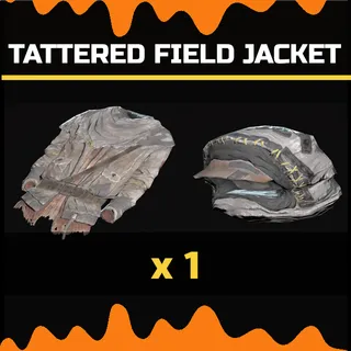 tattered field jacket