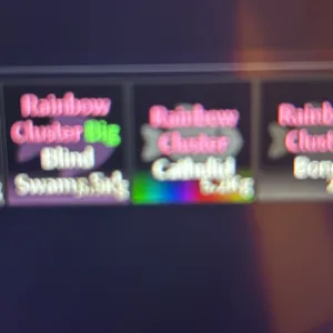 rainbow cluster cathulid