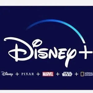 $25.00 USD Disney Plus Digital