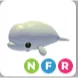 beluga whale NFR