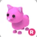 pink cat R