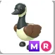 canadian goose MR