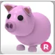 pig R