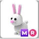 bunny MR