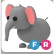 elephant FR