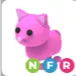 pink cat NFR