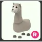 llama R