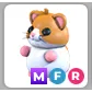 hamster MFR