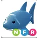 shark NFR