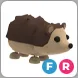 hedgehog FR