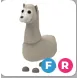 llama FR