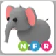 elephant NFR