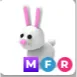 bunny MFR