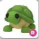 turtle R