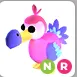 dodo NR