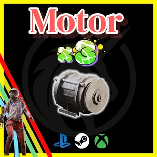 Motor