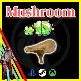 Mushroom