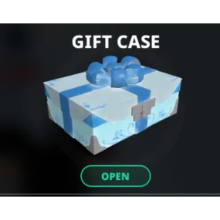 Gift case mvsd