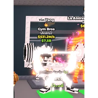 Yin Yang Gym Bros - 531.2M/s - Secret - Fire / Fast delivery!